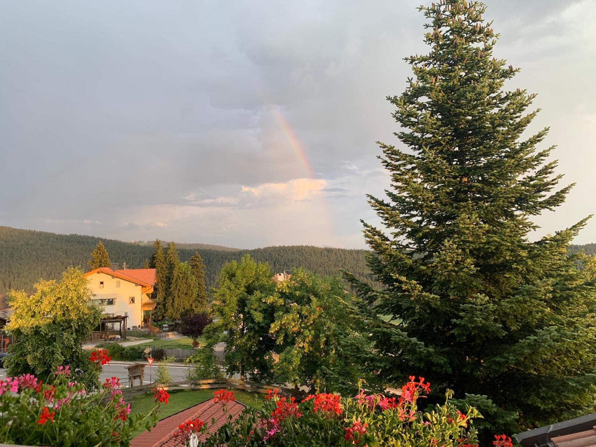 Albero Verde Verano ภายนอก รูปภาพ